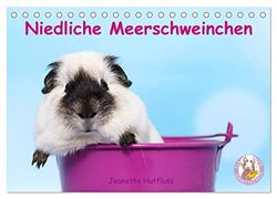 Niedliche Meerschweinchen (Tischkalender 2026 DIN A5 quer), CALVENDO Monatskalender: Jeden Monat ein anderes drolliges Kerlchen