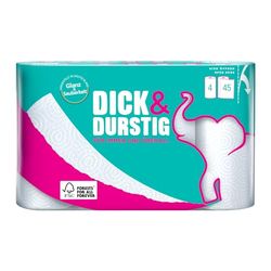 KT DIK & DOORSTIG 24R