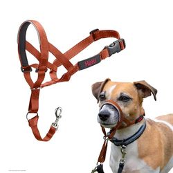 HALTI - Cavezza per impedire al cane di tirare al guinzaglio, regolabile, riflettente e leggera, con nasello imbottito, collare anti-tiro, per addestramento cani piccoli (Taglia 1, arancione bruciato)