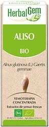 Ontano Macerato Glicerinato 50 ml