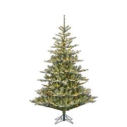 Black Box Trees Celtis Kunstkerstboom met ledverlichting, H 215 x Ø 135 cm, groen met vorstlook