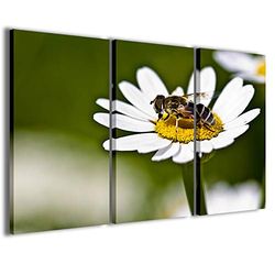 Schilderij op canvas, insect macro II moderne afbeeldingen uit 3 panelen, kant-en-klaar om op te hangen, 120 x 90 cm