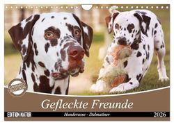 Gefleckte Freunde - Hunderasse Dalmatiner (Wandkalender 2026 DIN A4 quer), CALVENDO Monatskalender: Dalmatiner gehören zu den auffälligsten Hunderassen, ihre Flecken machen aus jedem Hund ein Unikat.