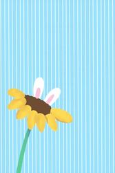 Sunflower Notebook: Have ear rabbit so cute 6x9 Inches 100 sheet