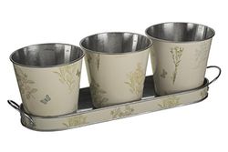 Premier Housewares 2450019 Pots sur Plateau rectangulaire – Naturel/Vert (Lot de 3)