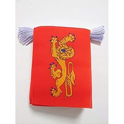 AZ FLAG Ghirlanda 6 Metri 20 Bandiere AQUITANIA 21x15cm - Bandiera AQUITAINE in Francia 15 x 21 cm - Festone BANDIERINE