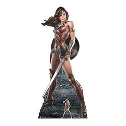 DC Comics Wonder Woman (diseño gráfico) Vida tamaño de cartón Recorte out, Multi Color