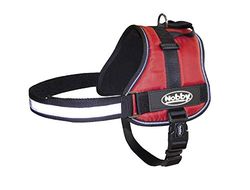 Nobby 80581–01 Harnais en Nylon Seguro, Medium, Rouge