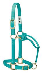 Weaver Leather Keine Angabe Original Ajustable Barbilla y Halter de Nailon Menta Promedio, Mint, Media