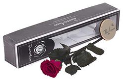 The Flower Rooms FRFRCER Forever Rose Cerise Roze