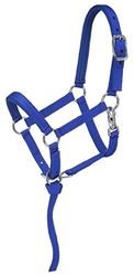Tough 1 Cabestro en Miniatura Acolchado de Nailon, Azul/Real, Mediano