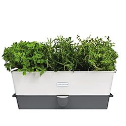Cole & Mason H105349 Burwell Conservador para ervas aromáticas em vasos, branco/cinzento, cultivo de plantas ervas de interior, aço inoxidável, triplo, para 3 vasos