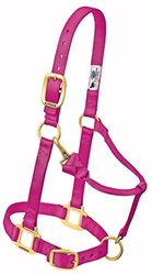 Weaver Leather Original Licol en Nylon réglable, 35-7035-RA, Framboise, 1 inches Average Horse
