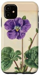 Pianta dell'illustrazione scientifica dell'annata viola africana Custodia per iPhone 11