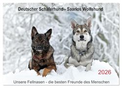 German Shepherd - Saarlos Wolfhound (Wall Calendar 2026 DIN A3 Landscape), CALVENDO Monthly Calendar
