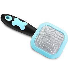 PETPAWJOY Brosse lissante pour chien - Brosse à poils pour chien - Pour petits chiens, chiots, caniches, lapins, chats, taille unique - Bleu