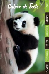 CAHIER DE TEXTE 2025-2026: Panda | CE1, CE2, CM1, CM2 | Pour bien planifier votre année scolaire