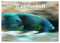 Wunderwelt. Das bunte Leben im Meer (Wandkalender 2024 DIN A3 quer), CALVENDO Monatskalender: Das farbenfrohe Treiben in den Ozeanen