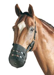Pfiff 005070-20-Shetty Muselière et/ou mangeoire Noir Warmblood/Complet