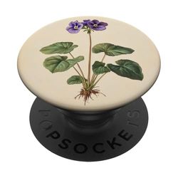 Pianta dell'illustrazione scientifica dell'annata viola africana PopSockets PopGrip Adesivo