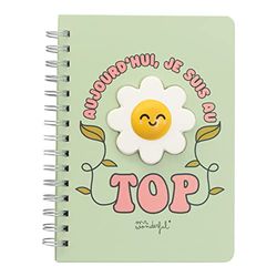 Mr. Wonderful Notebook - here and now: get started!