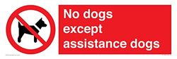Letrero con texto en inglés "No Dogs except assistance Dogs", 450 x 150 mm, L41