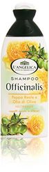 L'Angelica - Shampoo, Nourishing, Royal Jelly and Olive Oil - 250 ml