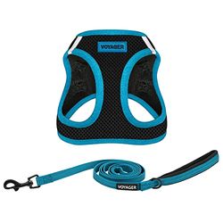 Best Pet Supplies Voyager Step-in Air - Arnés de Malla para Todo Tipo de Clima y Correa Reflectante de 5 pies con Mango de Neopreno, para Perros pequeños, medianos y Grandes, Borde Negro/Azul, XS