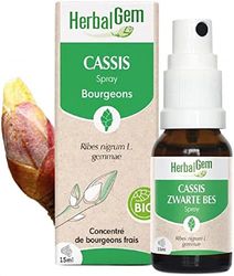 HerbalGem - Macérât-Mère - Spray Cassis Bio - Complément Alimentaire Gemmothérapie Concentrée - Extrait de Bourgeon Frais - pour Articulations, Muscles - Vegan - Format Nomade et Pratique - 15 ml