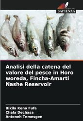 Analisi della catena del valore del pesce in Horo woreda, Fincha-Amarti Nashe Reservoir