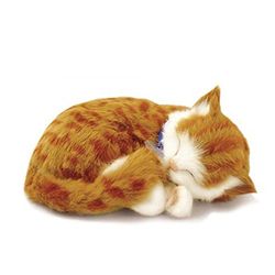 Perfect Petzzz - 65431 - Peluche Interactive - Chat - Tabby - Orange - Animal Qui Respire pour de Vrai - 25 cm