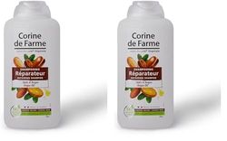 Shampooing Réparateur à l'Huile d'Argan (Lot de 2)