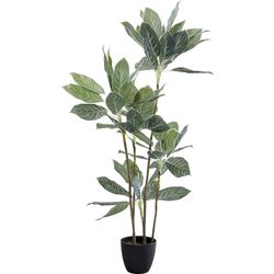 Kare Design Decoratieve plant Calathea, groen, geschikt voor mensen met allergieën, onderhoudsvriendelijk, geen pollen of schimmelvorming, decoratief object voor de woonkamer, grote kunstplant, met