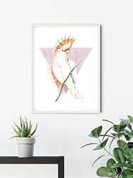 Komar Cacadoo - Póster decorativo para pared (50 x 70 cm, sin marco)