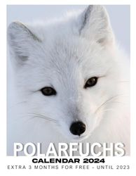 Calendar 2024: A Year of Timeless Moments with Polarfuchs, Celebrate Every Month with Stunning Images and Unreleased Details about Memorable Trips