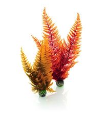 biOrb Autumn Fern Set 2