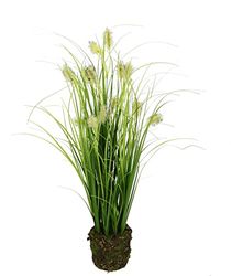 Kunstgras met vossenstaart, in aarde, gras, kunstgras, siergras, groene planten, siergras, siergras, solitair gras, decoratie, grasarrangement, borstengierst, panicoideae, zoetgras, Setaria