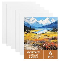 ASelected 6 Pcs Stretched Canvas 50 x 40 Cm Large Canvas for Painting, Primed Art Canvases for Painting 100% Cotton Acid Free Professional Art Canvases for Acrylic Oil Gouache Watercolour (White)