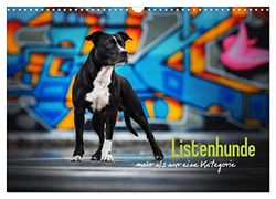 Listenhunde - mehr als nur eine Kategorie (Wandkalender 2024 DIN A3 quer), CALVENDO Monatskalender: Wundervolle Hunde zu unrecht verurteilt!