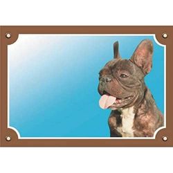 Nobby Waarschuwingsbord Franse Bulldog geel 12 x 3,5 cm
