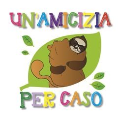 Un'amicizia per caso