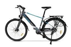 Argento E-Bike Alpha, Motore 250W, Freni a Disco, Batteria 374Wh, Fino a 70km, Schermo LCD, Cambio Shimano 7 Rapporti