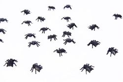ATOSA sachet mouches noires halloween 24 unités