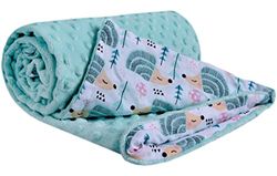 Medi Partners Babydeken, 100% katoen, 75 x 100 cm, dubbelzijdig multifunctionele Minky knuffeldeken voor kinderwagen, zacht pluizig (munt egel met munt minky)