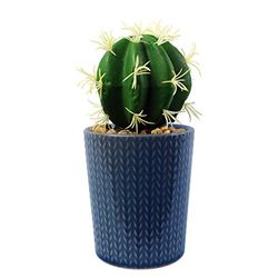 Leaf Artificial Ceramic Striped Cactus Plant 17cm