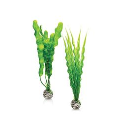 biOrb Juego de plantas de color verde en tamaño M