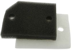 Greenstar 21859 luchtfilter (x4104604)
