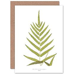 Wee Blue Coo Fern Polypodium Tetragonum Greeting Card With Envelope Inside Premium Quality