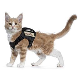 Harnais Tactique Anti-Fugue pour Chat - Maille Souple réglable - pour Grands Chats et Petits Chiens