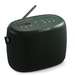 Pure Woodland Altoparlante da esterno con Bluetooth e radio DAB+/FM (impermeabile IP67, portatile, batteria da 14h - perfetto per giardino e campeggio) Verde